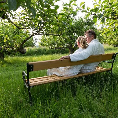 Hotel & Spa Der Steirerhof Bad Waltersdorf Dış mekan fotoğraf